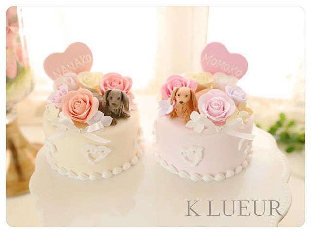 【本日発送いたしました商品 】・クレイケーキ・以前ご注文頂きましたダックスちゃんのケーキ♡ご友人様の分も追加でお作りさせて頂きましたよ♪・気に入って頂けましたら幸いです。ご注文誠にありがとうございました♪ ・・・ご注文は、メールまたはwebshopよりお願いいたします。・️K LUEUR Wedding webshophttps://klueur.saleshop.jp・1dayレッスン、クレイアーティストコースのお問い合わせは、HPまたはメールよりお願いいたします。 ・【Mail】info@klueur.com【HP】http://klueur.com/・・ ・ ・＊＊＊#リングピロー #ウェディング #結婚式 #結婚祝い #プレゼント #クレイケーキ教室 #ウェディングアイテム #ウェルカムボード #クレイケーキ #clayart #ディプロマ#手作り #マカロンタワー #教室 #ハンドメイド #ディスプレイ #前撮り #日本クレイアート協会 #ringpillow #ティファニーブルー #クレイ#プチギフト #女子力アップ #ベビーシャワー #マカロン#横浜#clay #習い事 #wedding#プレ花嫁