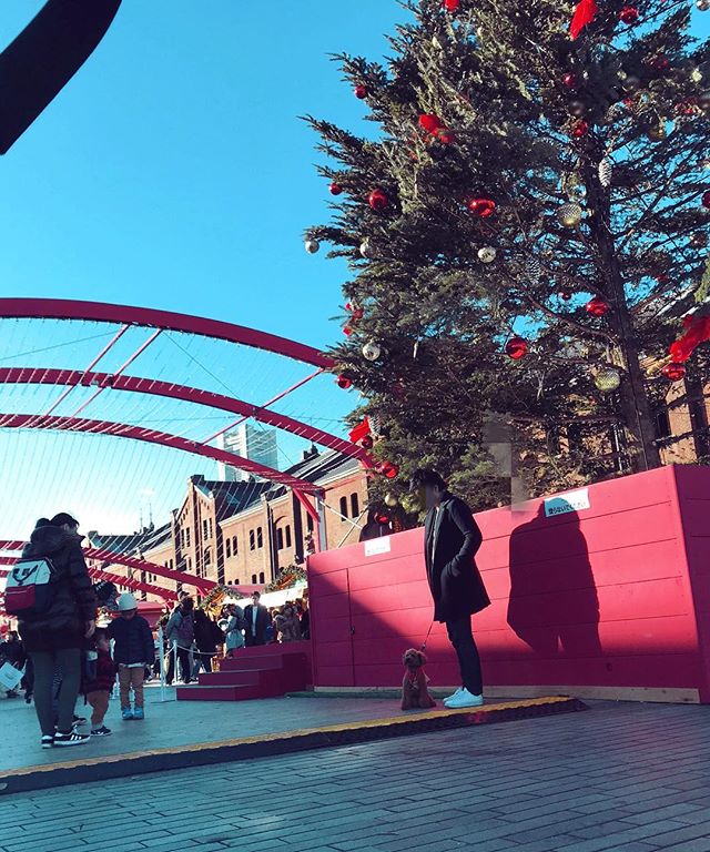 午前中レッスンを終え、午後は#みなとみらい へ。・すっかりクリスマス♪＊＊＊＊お問い合わせはHPまたはメールよりお願いいたします。info@klueur.com＊ご注文はメールまたは下記よりお願いいたします♪https://www.creema.jp/c/k-lueur＊＊＊#リングピロー #ウェディング #結婚式 #結婚祝い #プレゼント #クレイケーキ教室 #ウェディングアイテム #ウェルカムボード #クレイケーキ #clayart #ディプロマ#手作り #マカロンタワー #教室 #ハンドメイド #ディスプレイ #前撮り #日本クレイアート協会 #ringpillow #ティファニーブルー #クレイ#プチギフト #デコクレイ #ベビーシャワー #マカロン#横浜 #wedding#プレ花嫁